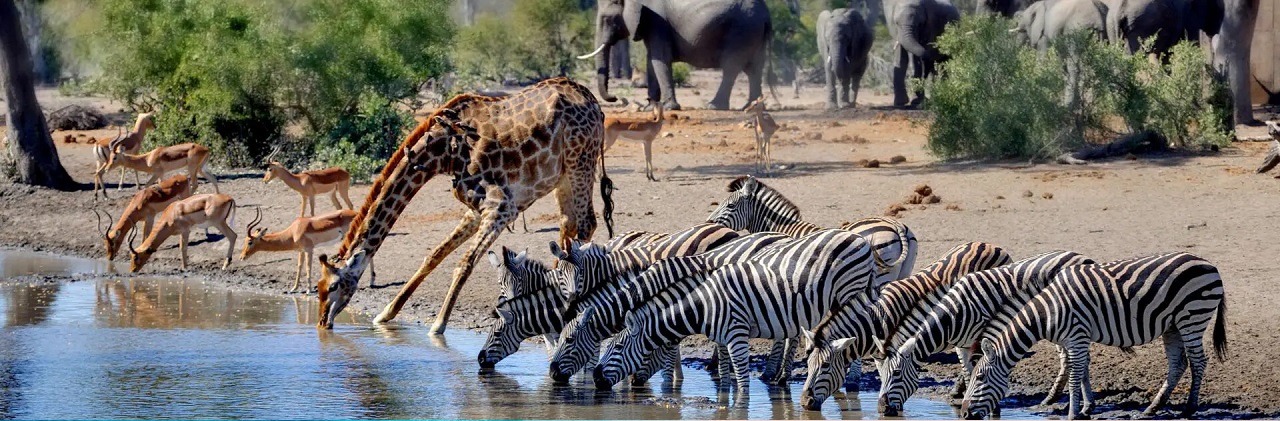 African Waterfall