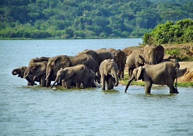 Tanzania Cultural Experience