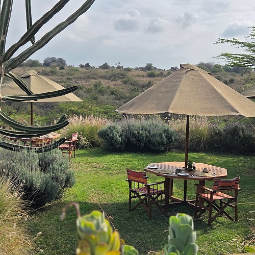 Northern Circuit - Climb Kilimanjaro - 9 days