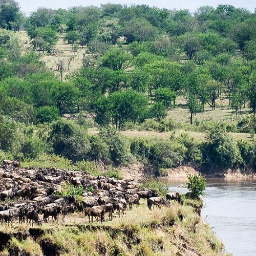 Northern Circuit - Climb Kilimanjaro - 9 days