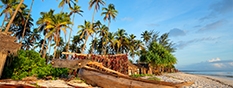 Safari from Zanzibar