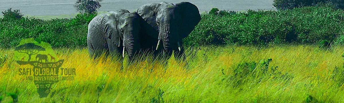 African Waterfall