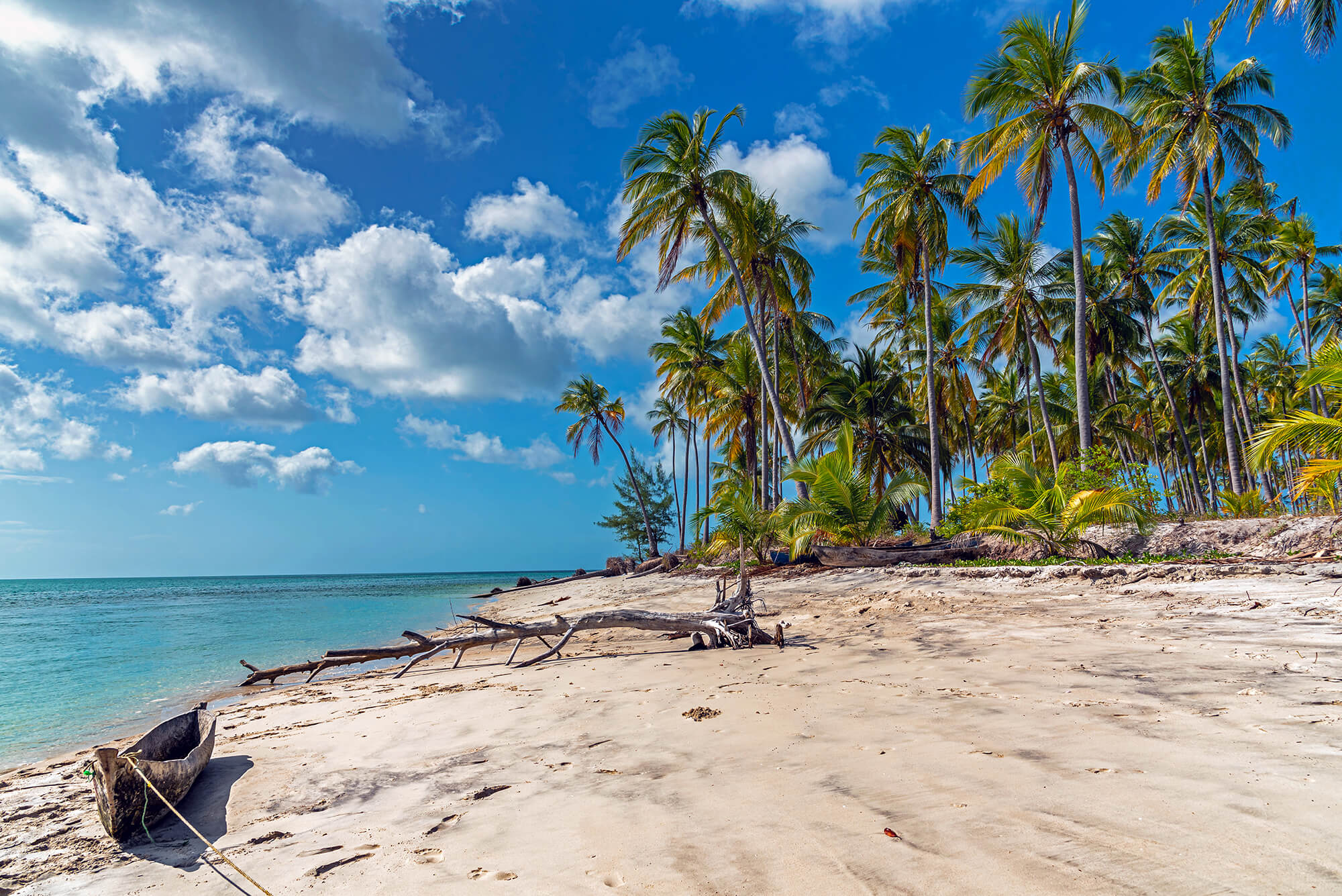 Zanzibar Tours