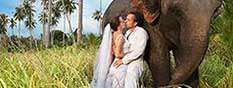 Romantic Holidays